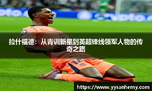 333官方网站体育