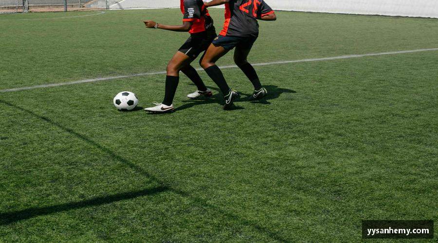 333官方网站体育专业解说，深度剖析！🎙️